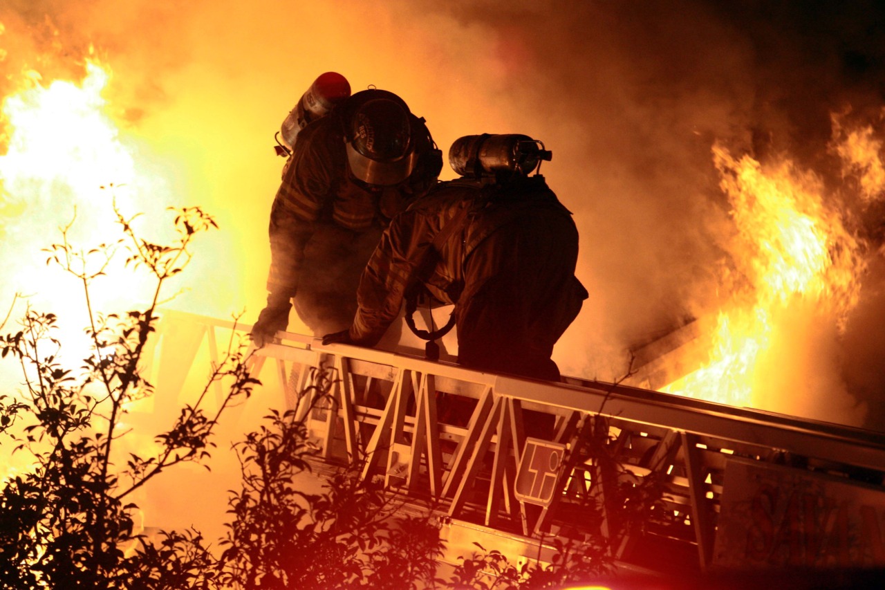 Model essays on fire