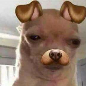 Meme+friends+_4d1b9eea2e38fa71bd91bebbf4