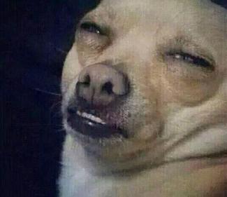 975+of+the+reason+i+could+never+be+a+doc